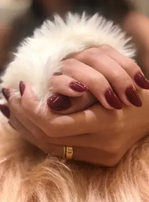 Unhas em tom vinho com acabamento brilhante
